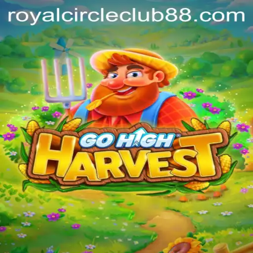 GoHighHarvest: A Journey into the World of Royal Circle Club