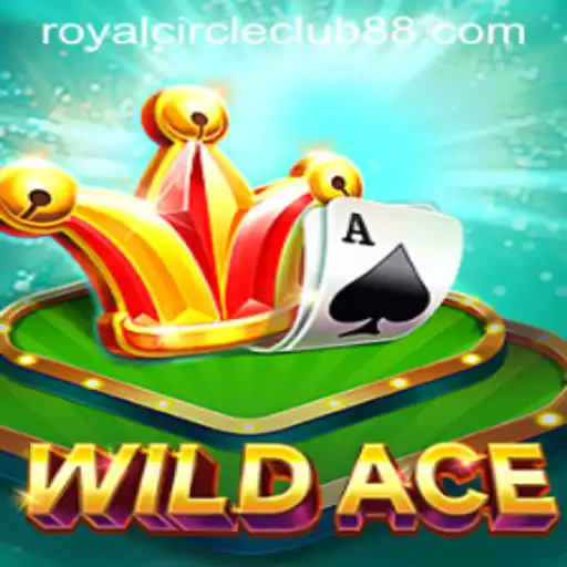 Unveiling WildAce: A New Era in Card Gaming